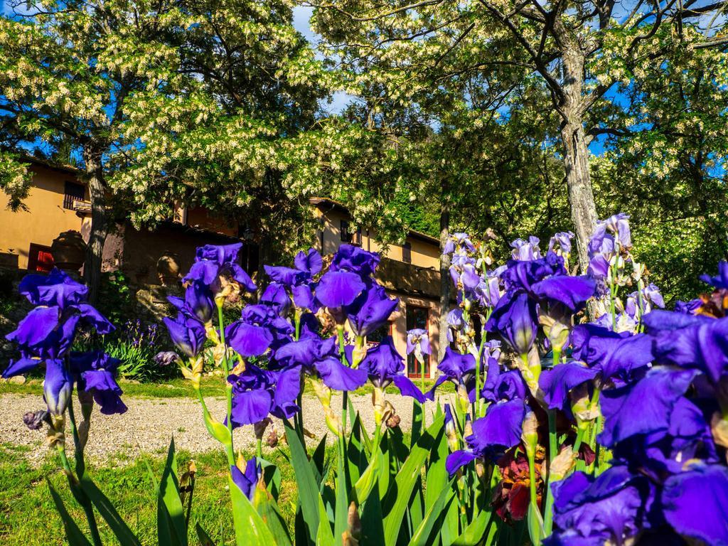 Agriturismo Verde Oliva Bagno A Ripoli Ngoại thất bức ảnh